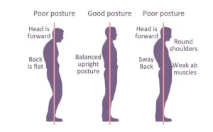 Postur Tubuh dan Bahasa Tubuh